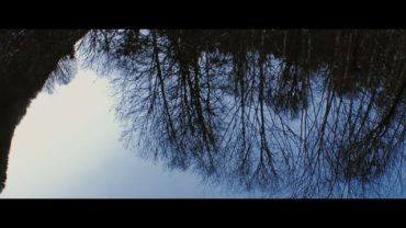 BLUE BIRD Charles Bukowski 4K ( IPHONE 7 PLUS+ FILMIC PRO+ BEASTGRIP)